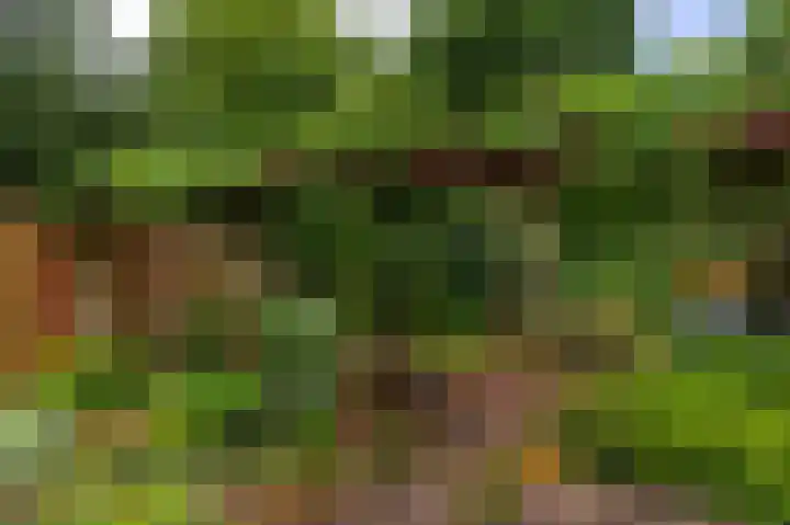 Schapendreef 30 Hoogerheide thumbnail 38