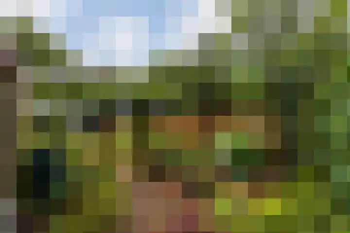 Schapendreef 30 Hoogerheide thumbnail 39