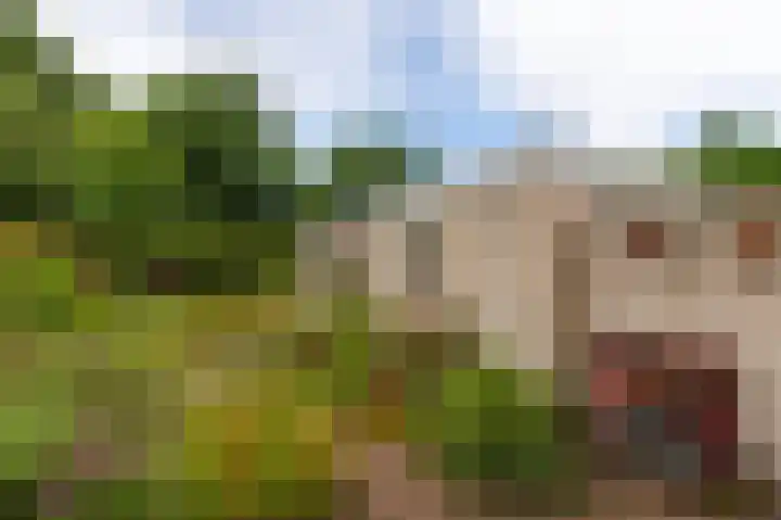 Schapendreef 30 Hoogerheide thumbnail 4