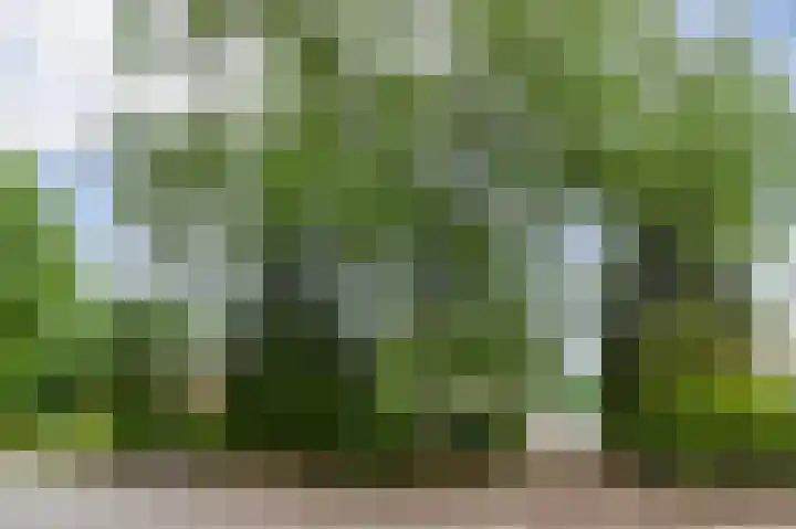 Schapendreef 30 Hoogerheide thumbnail 40