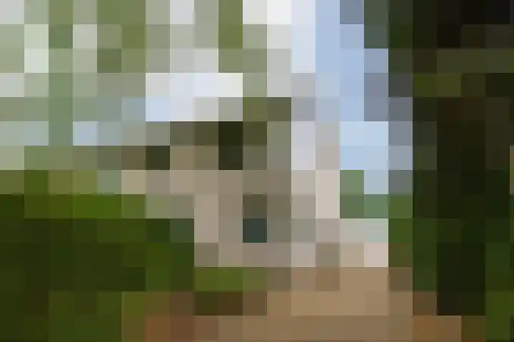 Schapendreef 30 Hoogerheide thumbnail 45