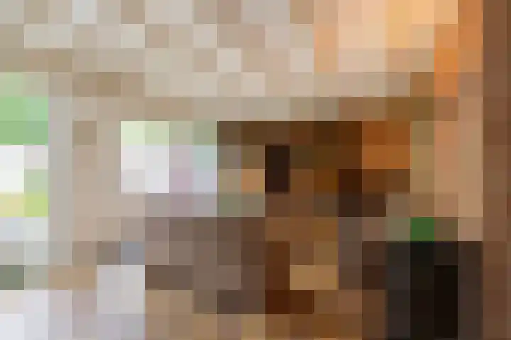 Schapendreef 30 Hoogerheide thumbnail 8