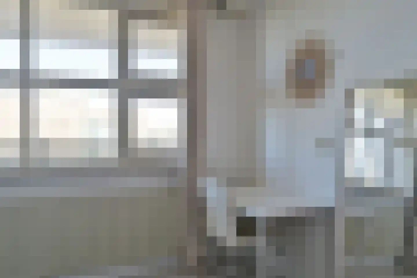 Schapendreef 353 Rotterdam thumbnail 12