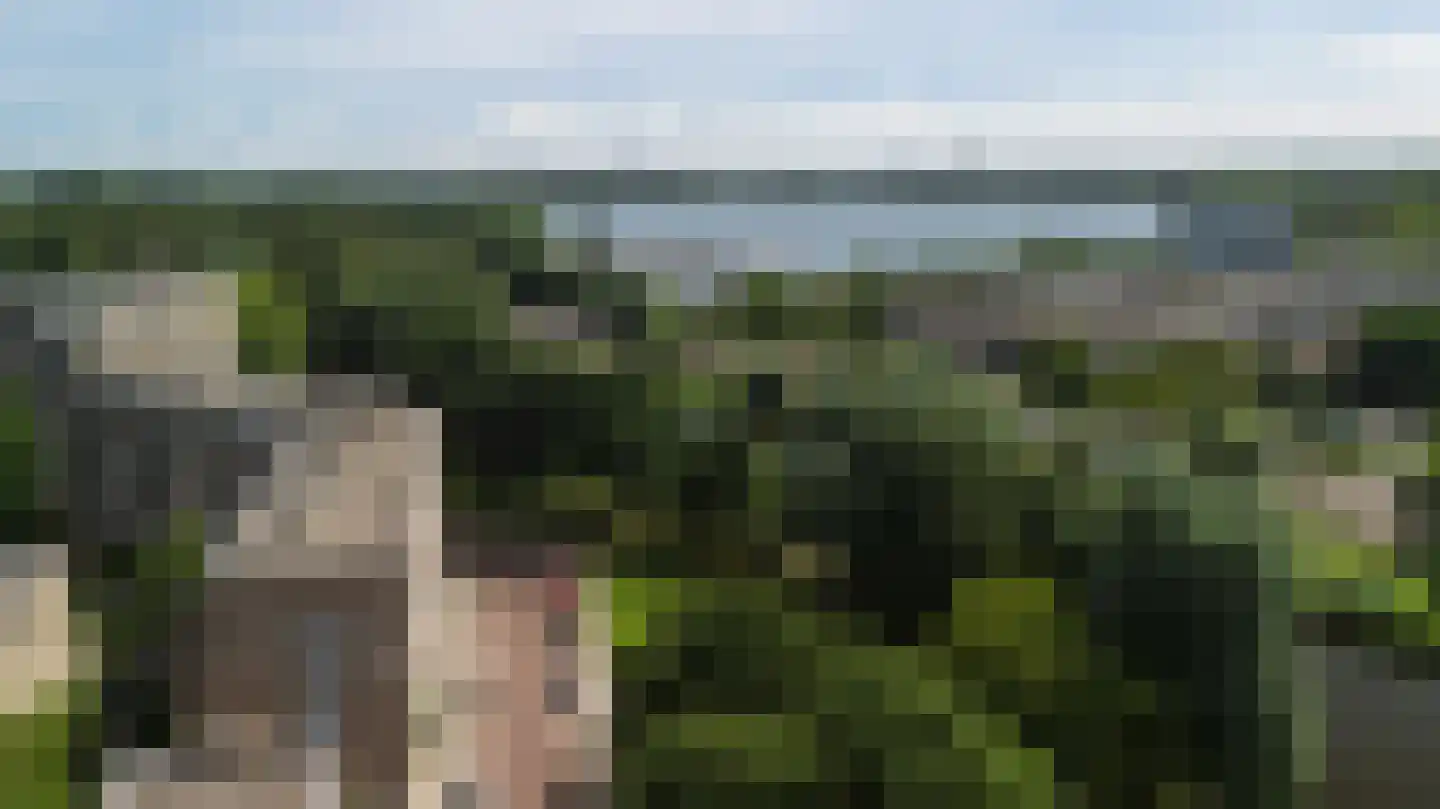 Schapendreef 353 Rotterdam thumbnail 22