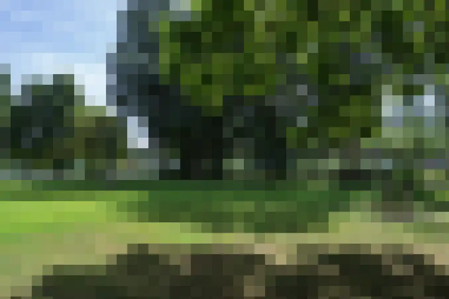 Schapendreef 353 Rotterdam thumbnail 23
