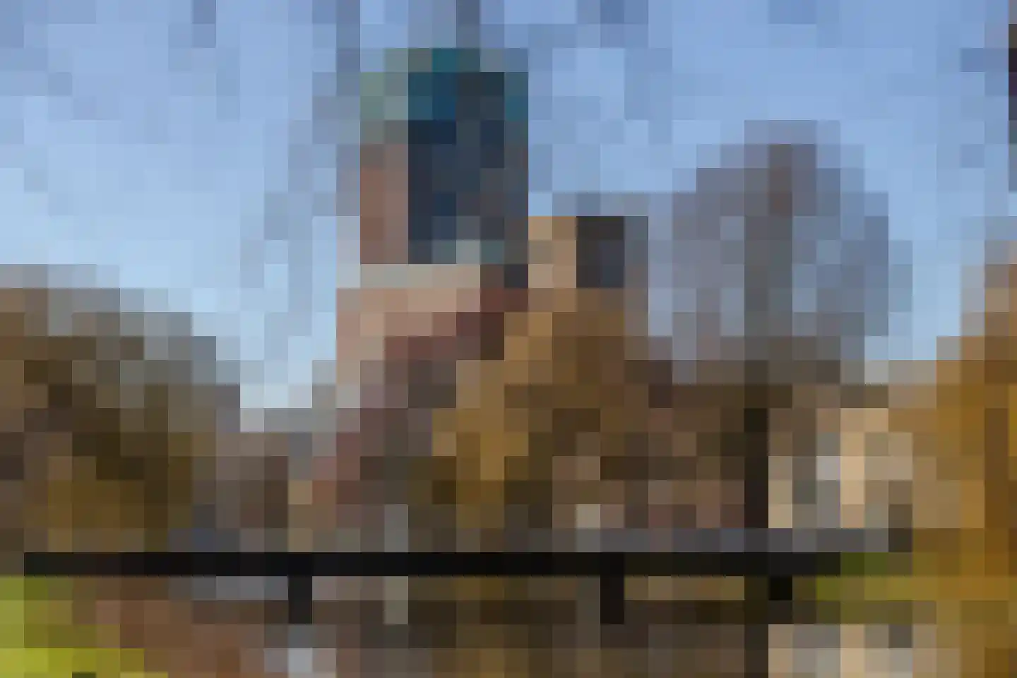 Schapendreef 483 Rotterdam thumbnail 34
