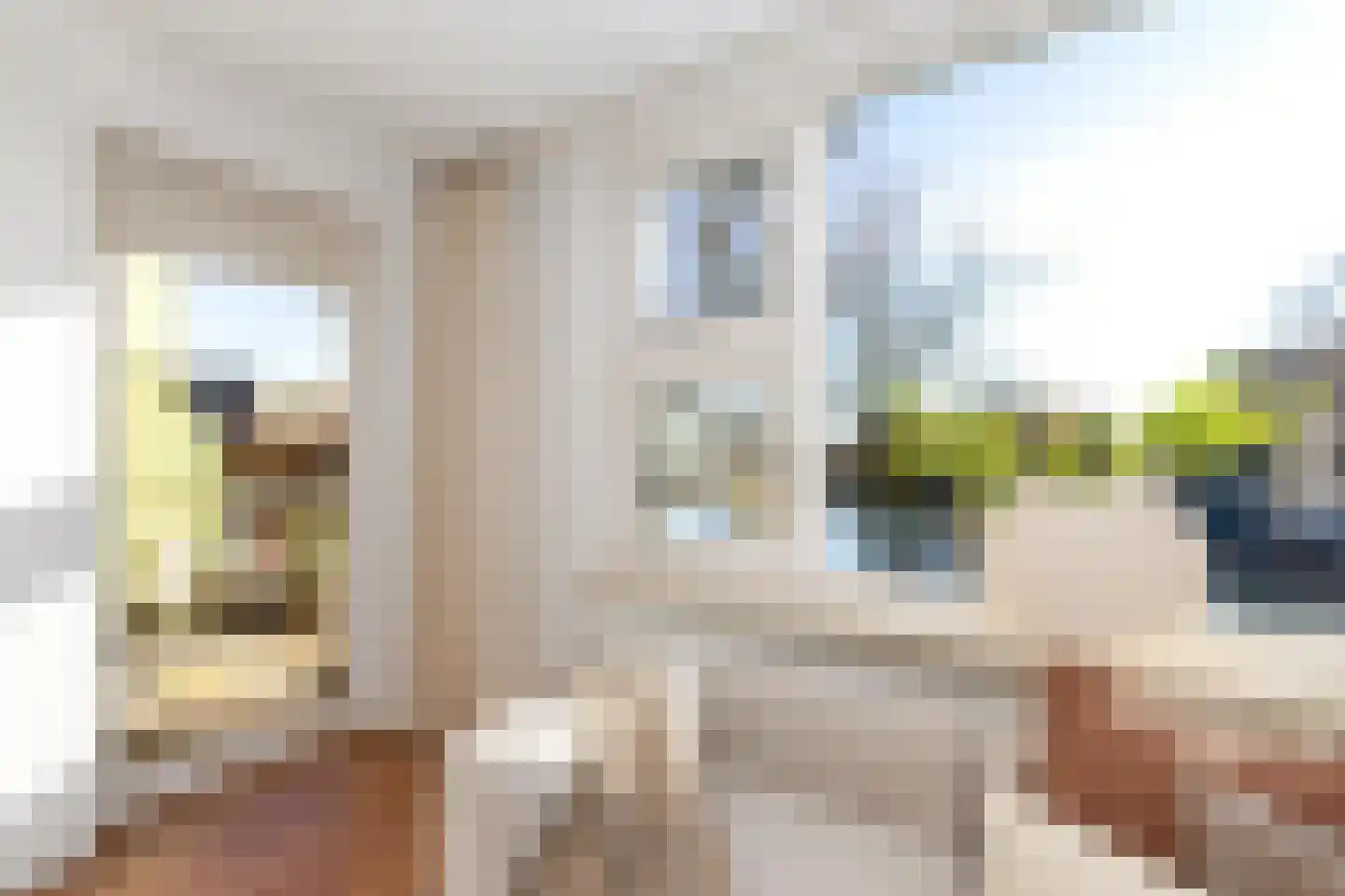 Schapendreef 483 Rotterdam thumbnail 4