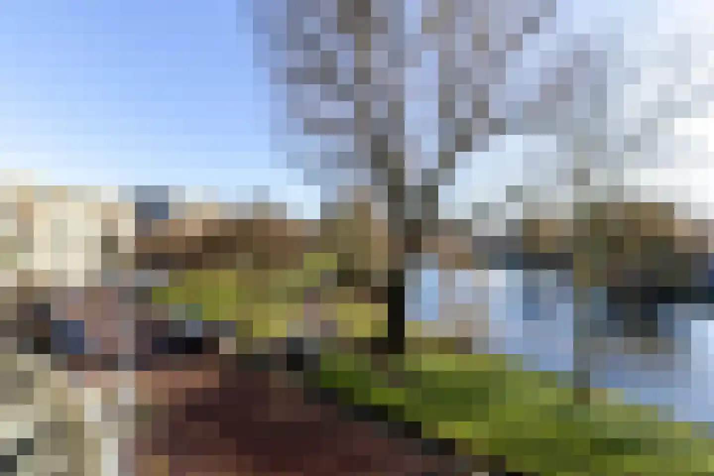 Schapendreef 483 Rotterdam thumbnail 6