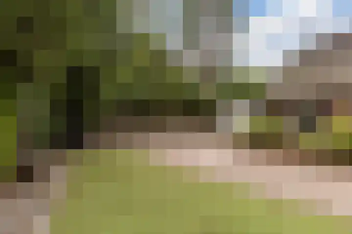 Schapendreef 5 Hoogerheide thumbnail 33