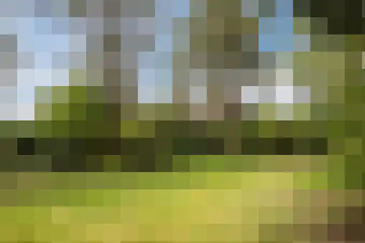 Schapendreef 5 Hoogerheide thumbnail 35