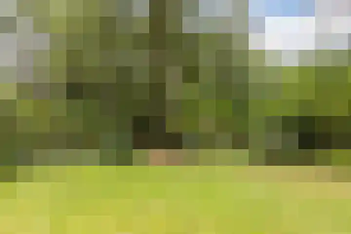 Schapendreef 5 Hoogerheide thumbnail 36