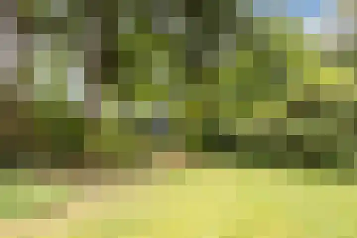Schapendreef 5 Hoogerheide thumbnail 37