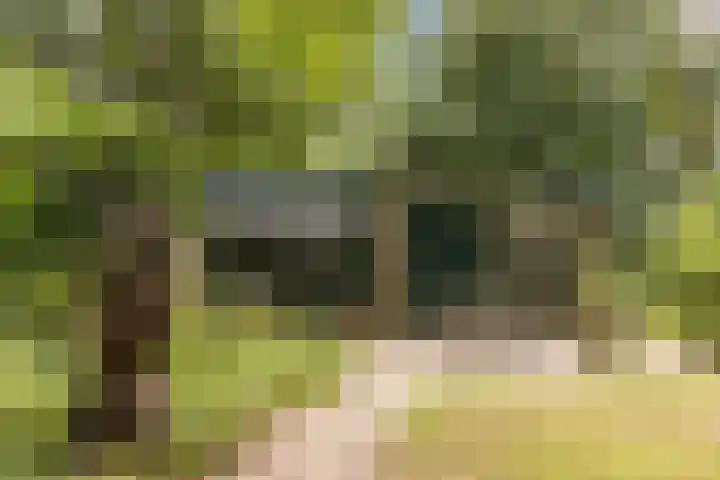 Schapendreef 5 Hoogerheide thumbnail 39