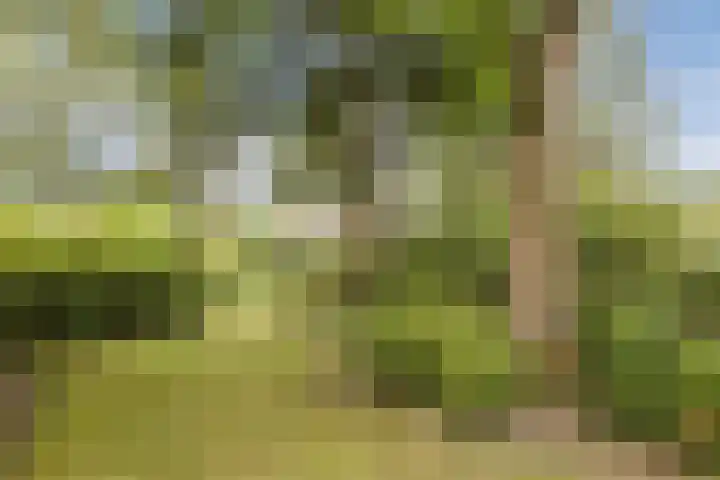 Schapendreef 5 Hoogerheide thumbnail 4