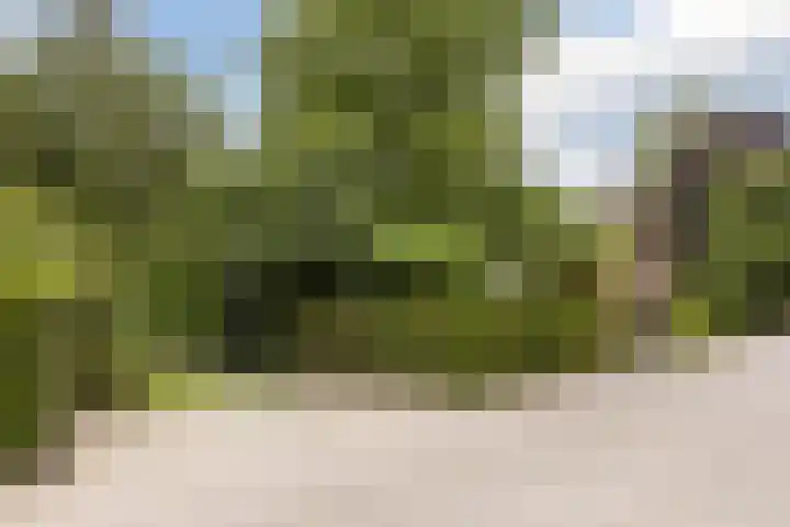 Schapendreef 5 Hoogerheide thumbnail 42