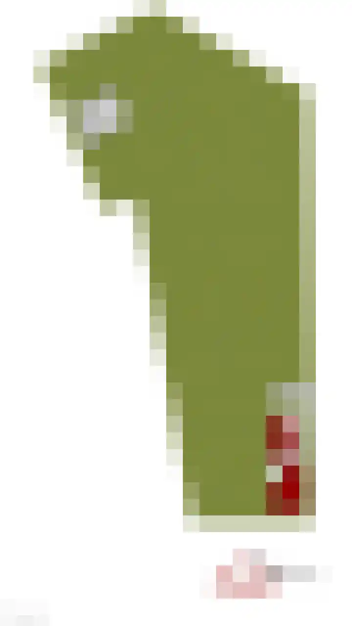 Schapendreef 5 Hoogerheide thumbnail 47