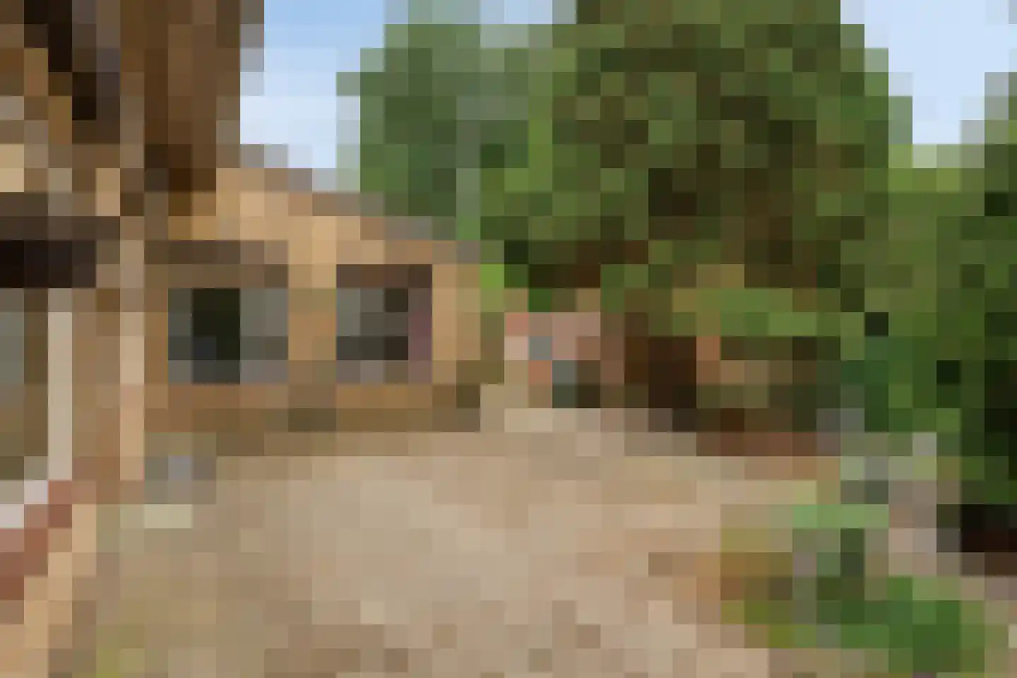 Schapendreef 6 Hoogerheide thumbnail 29