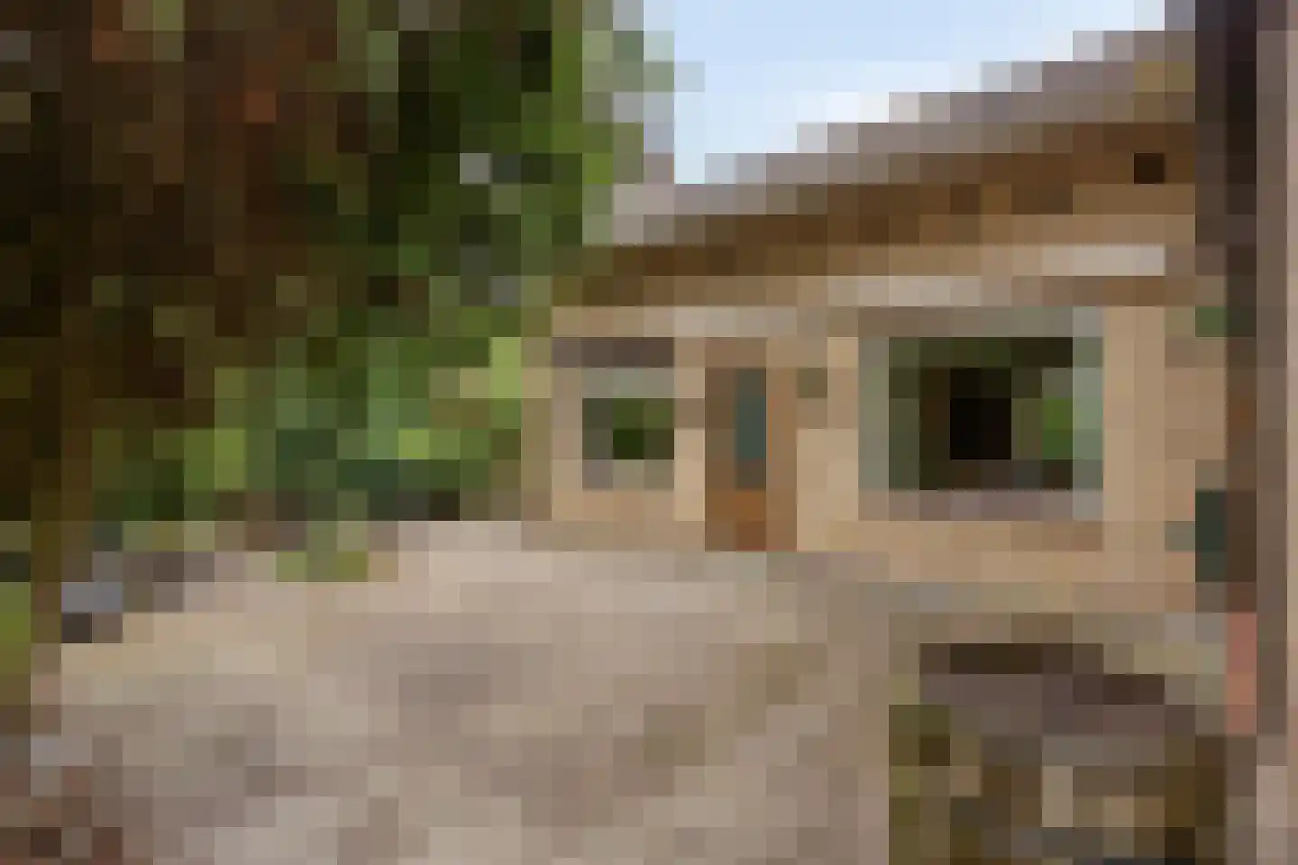 Schapendreef 6 Hoogerheide thumbnail 30