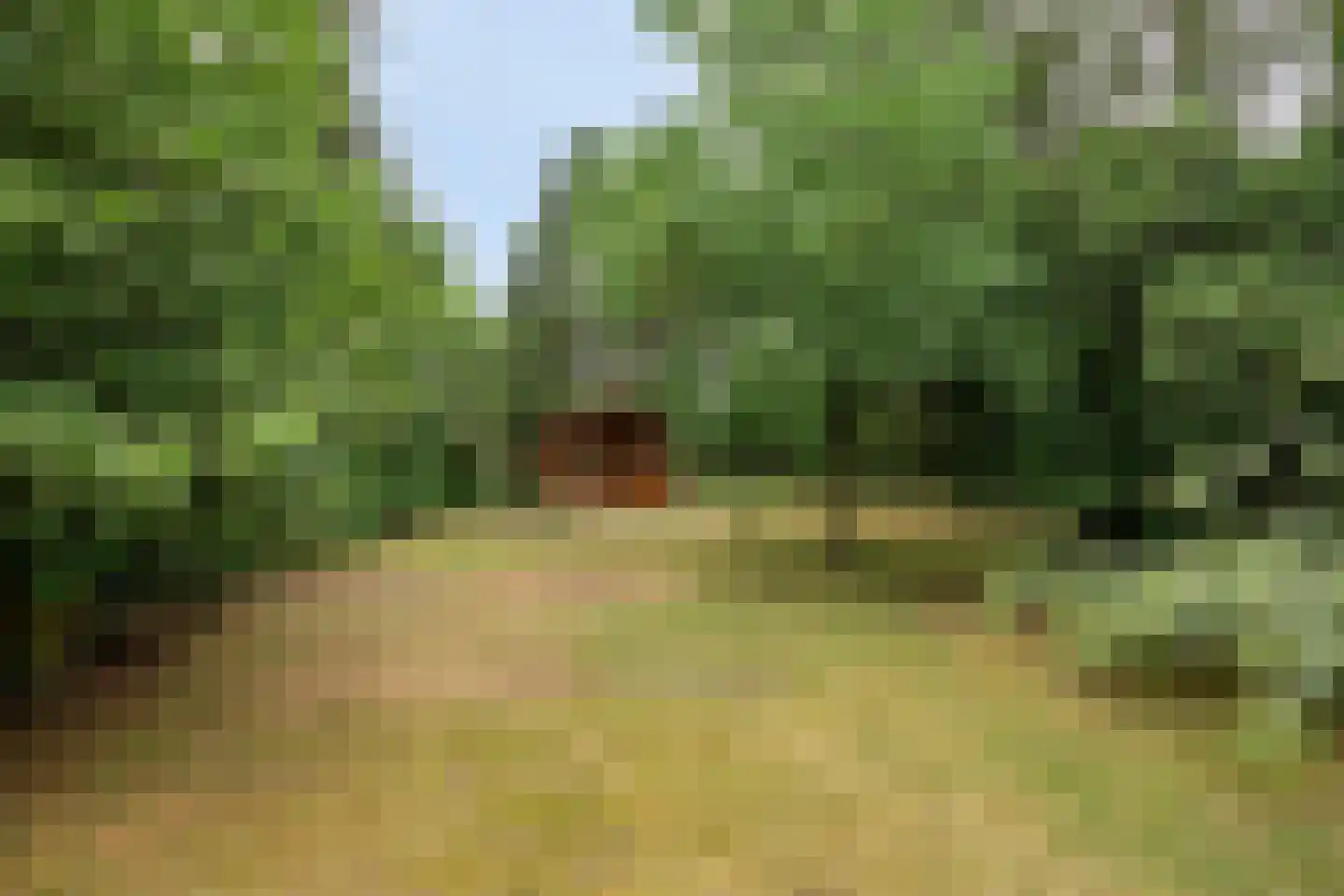 Schapendreef 6 Hoogerheide thumbnail 32