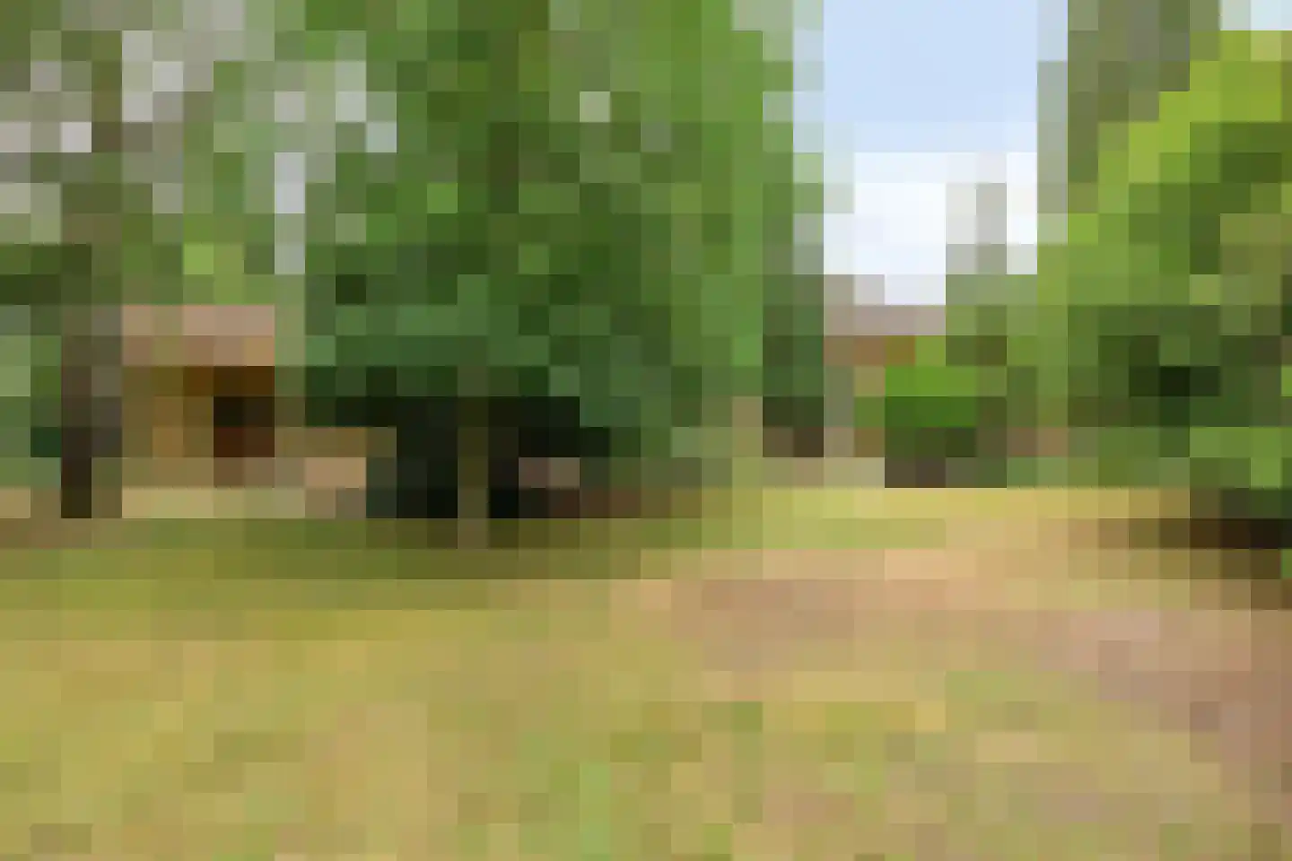 Schapendreef 6 Hoogerheide thumbnail 33
