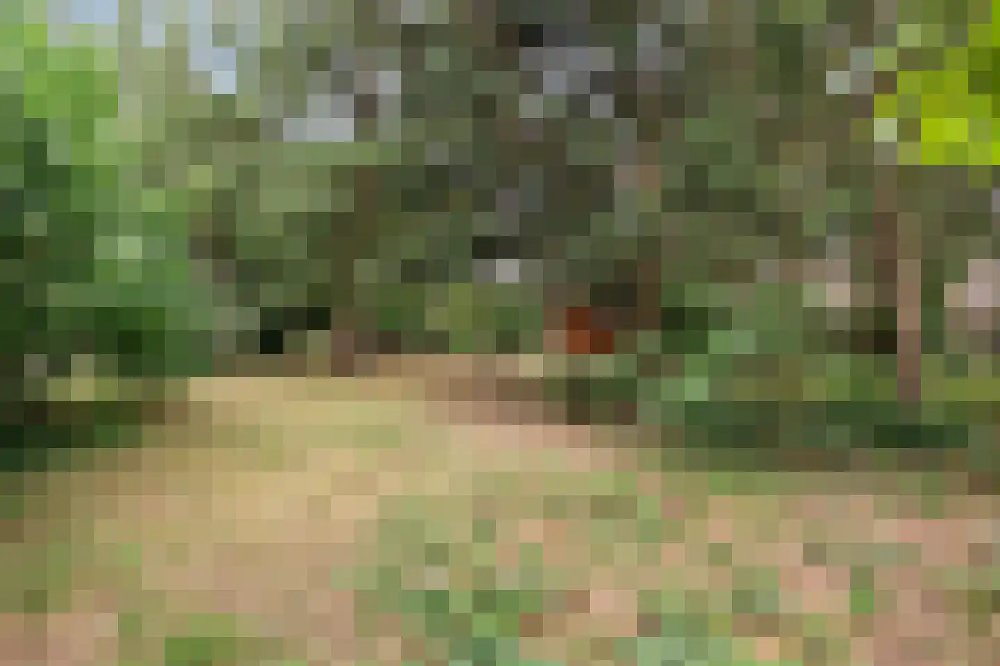 Schapendreef 6 Hoogerheide thumbnail 34