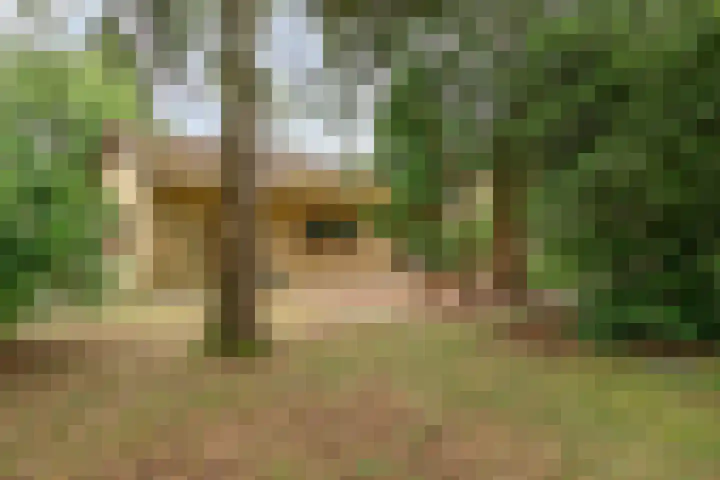 Schapendreef 6 Hoogerheide thumbnail 35
