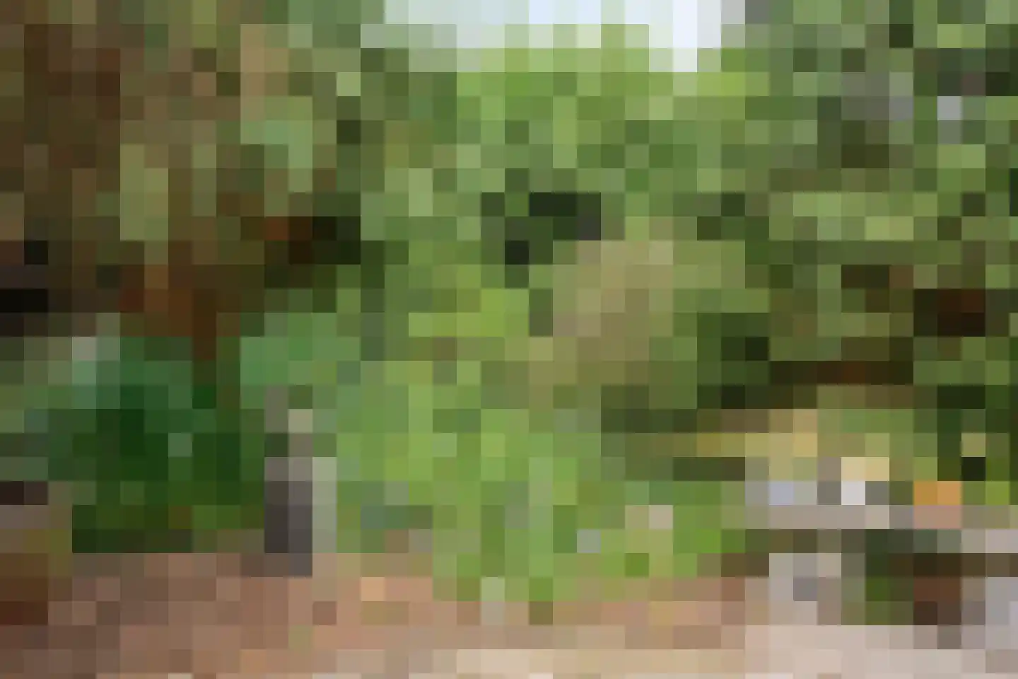 Schapendreef 6 Hoogerheide thumbnail 36