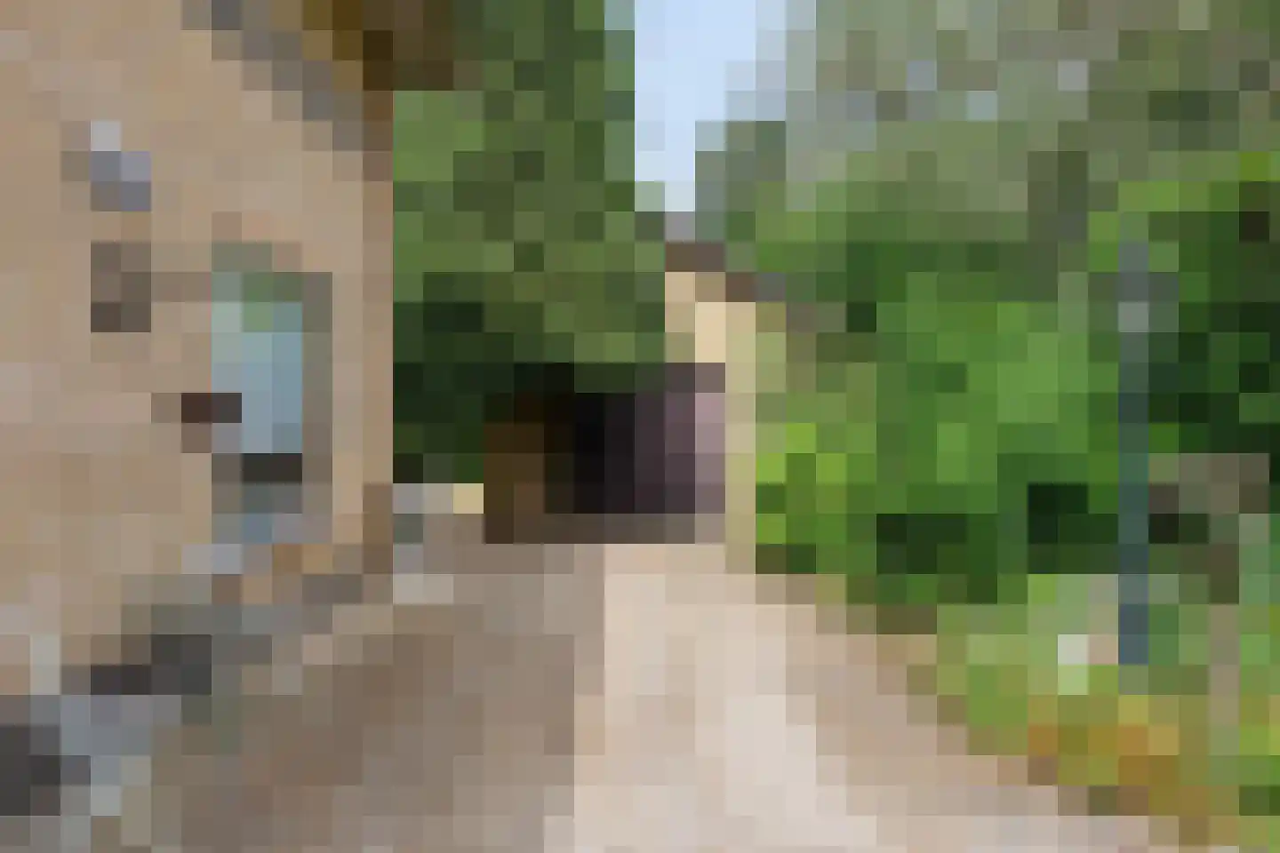 Schapendreef 6 Hoogerheide thumbnail 7