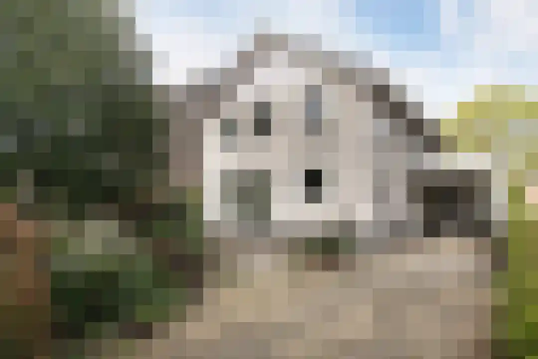 Schapendreef Hoogerheide