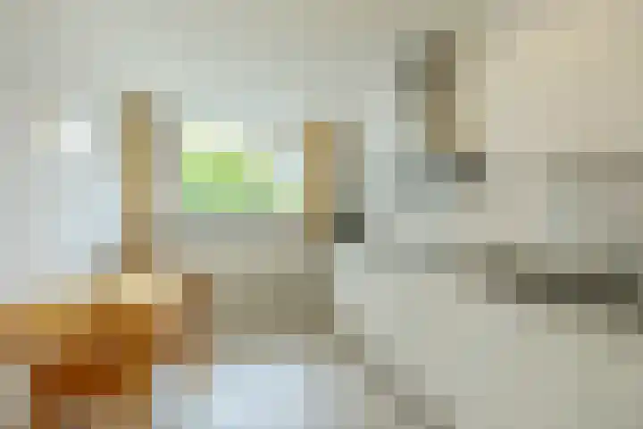 Schapendries 101 Oosterhout thumbnail 12