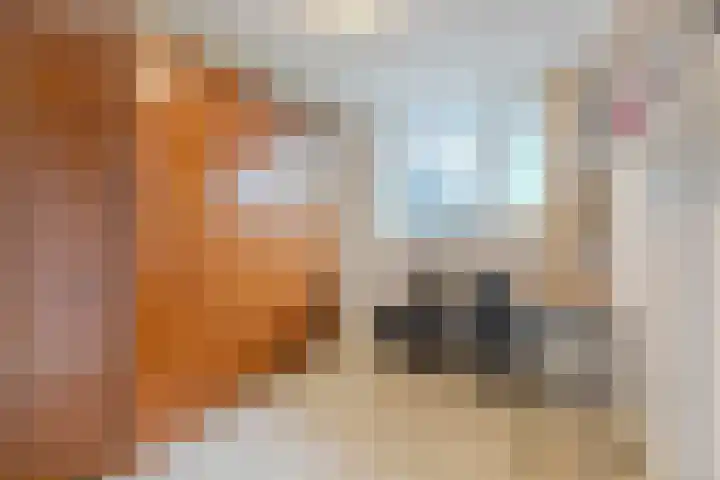 Schapendries 101 Oosterhout thumbnail 19