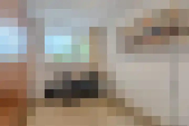 Schapendries 101 Oosterhout thumbnail 20