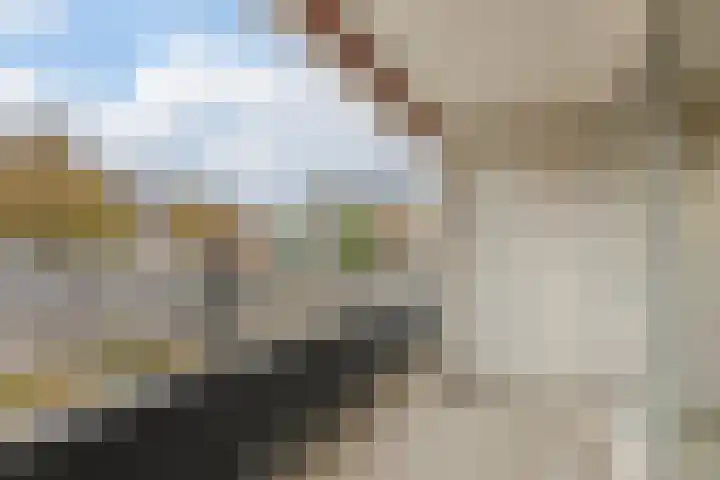Schapendries 101 Oosterhout thumbnail 26