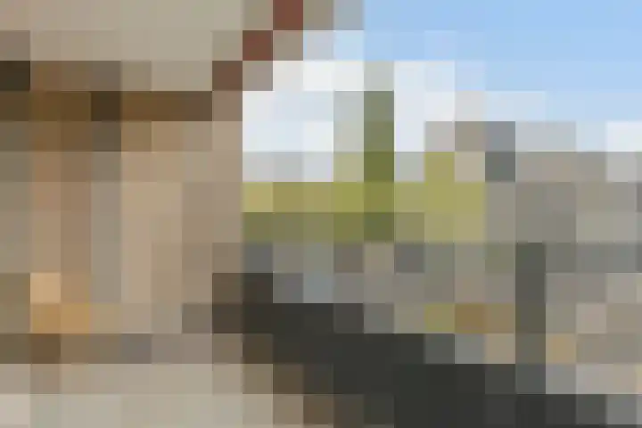 Schapendries 101 Oosterhout thumbnail 27