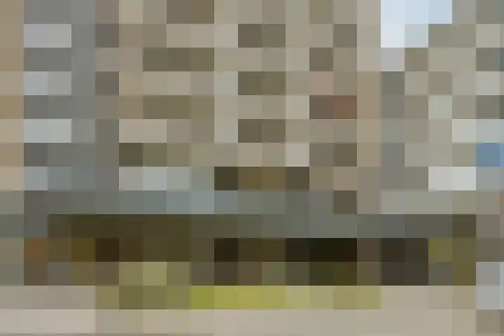Schapendries 101 Oosterhout thumbnail 29