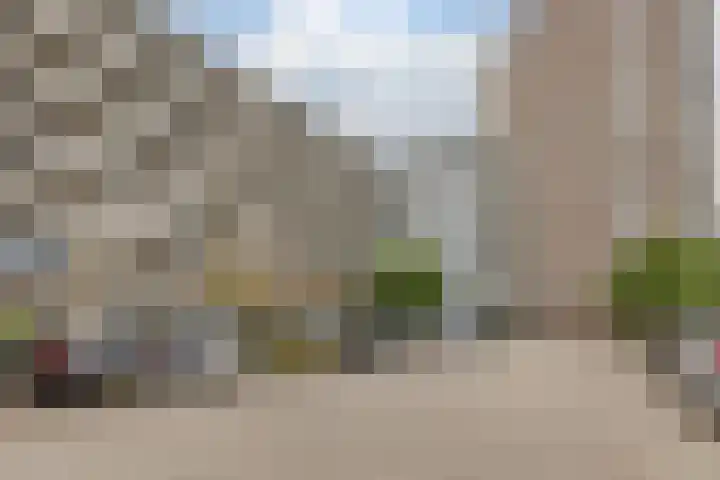 Schapendries 101 Oosterhout thumbnail 30