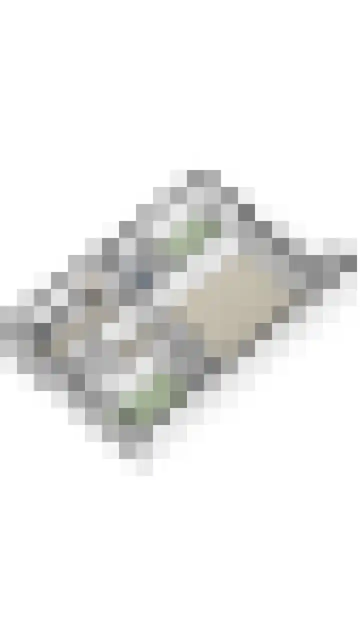 Schapendries 101 Oosterhout thumbnail 35