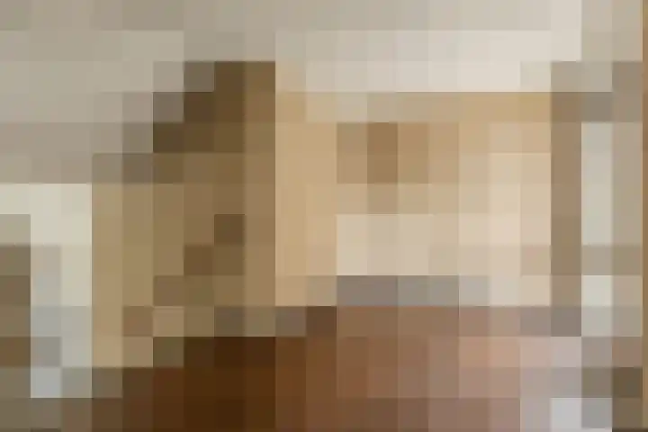 Schapendries 101 Oosterhout thumbnail 4