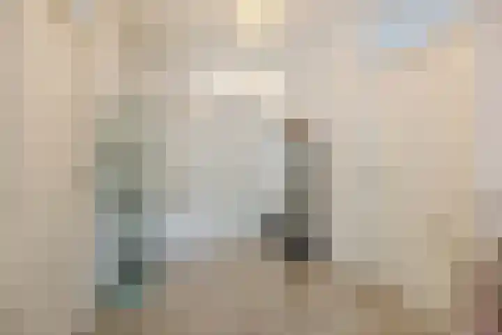 Schapendries 101 Oosterhout thumbnail 5
