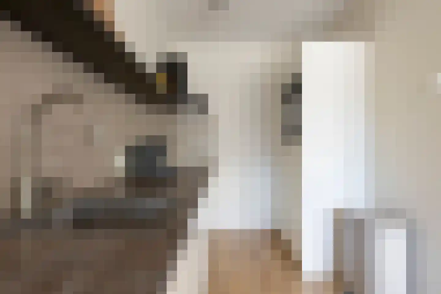 Schapendries 104 Oosterhout thumbnail 13