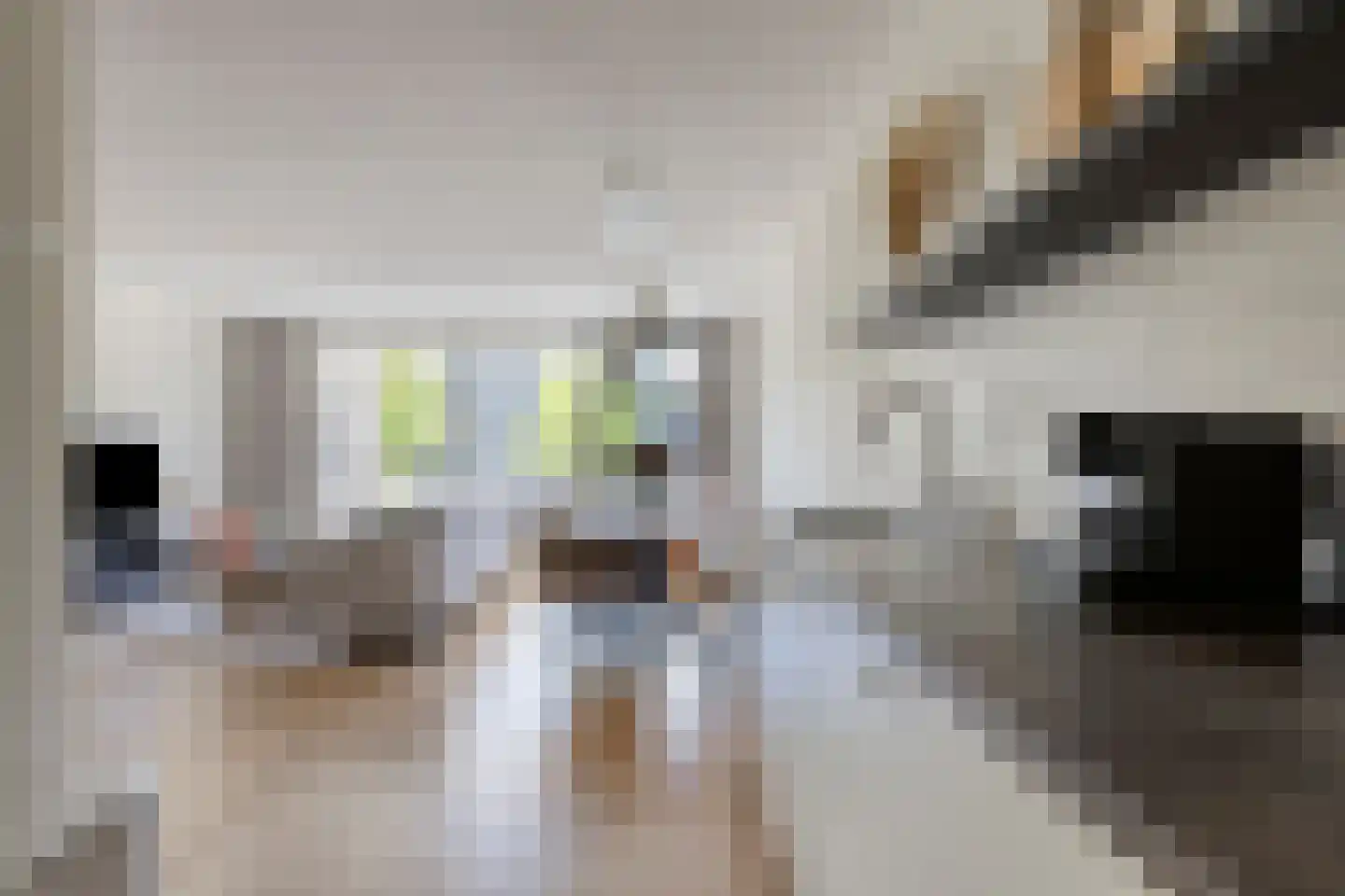Schapendries 104 Oosterhout thumbnail 14