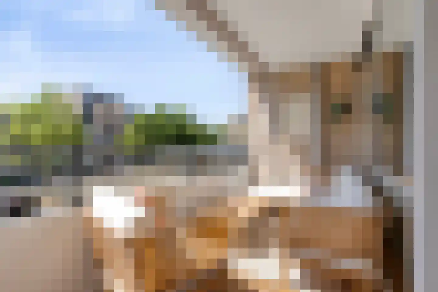 Schapendries 104 Oosterhout thumbnail 19