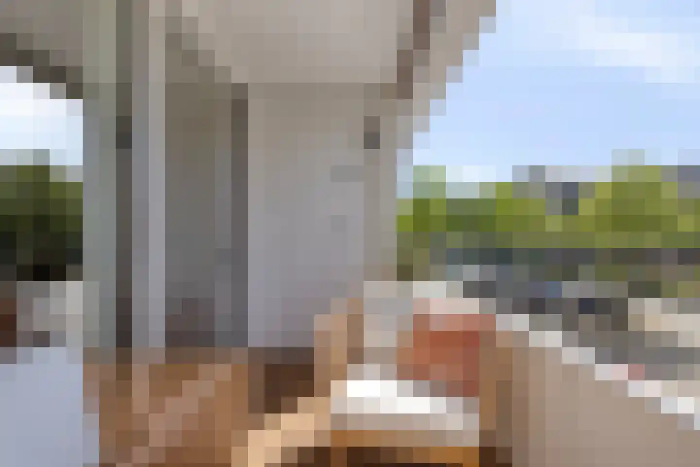 Schapendries 104 Oosterhout thumbnail 20