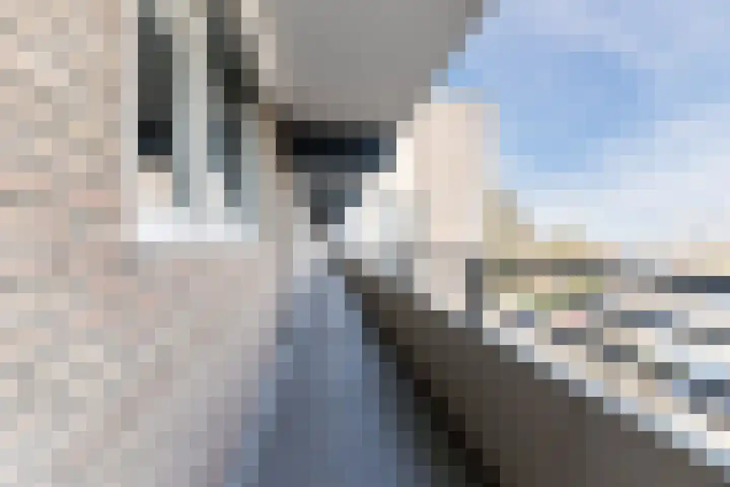 Schapendries 122 Oosterhout thumbnail 10