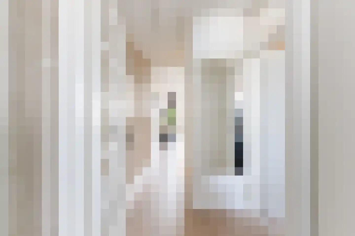 Schapendries 122 Oosterhout thumbnail 12