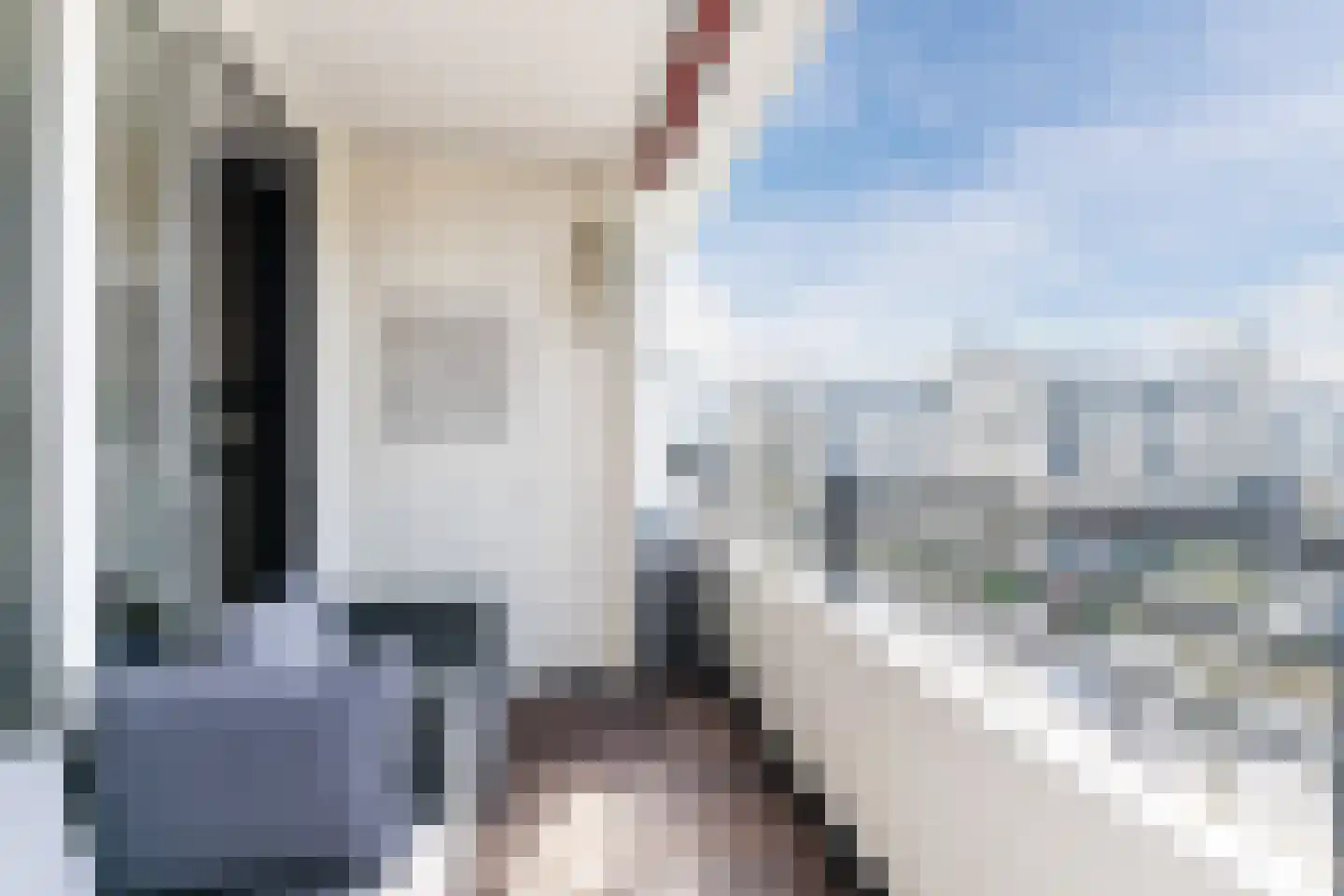Schapendries 122 Oosterhout thumbnail 26