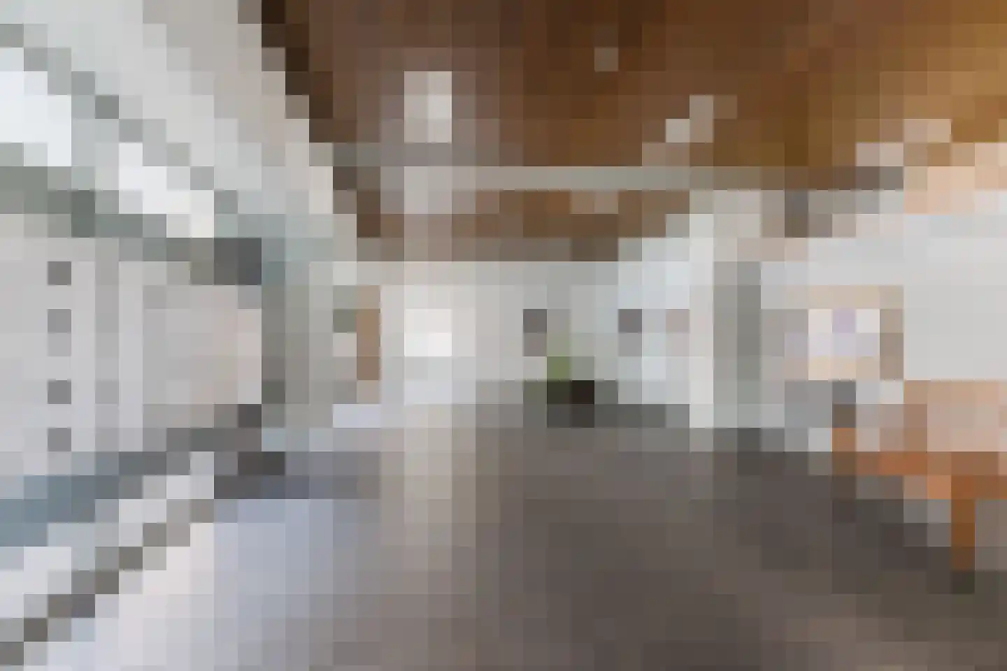 Schapendries 122 Oosterhout thumbnail 7