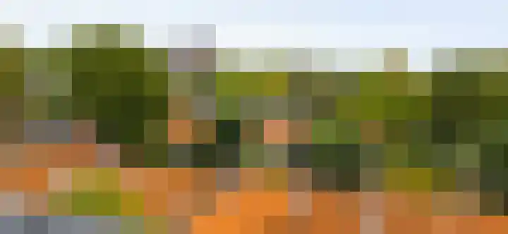 Schapendries 128 Oosterhout thumbnail 21
