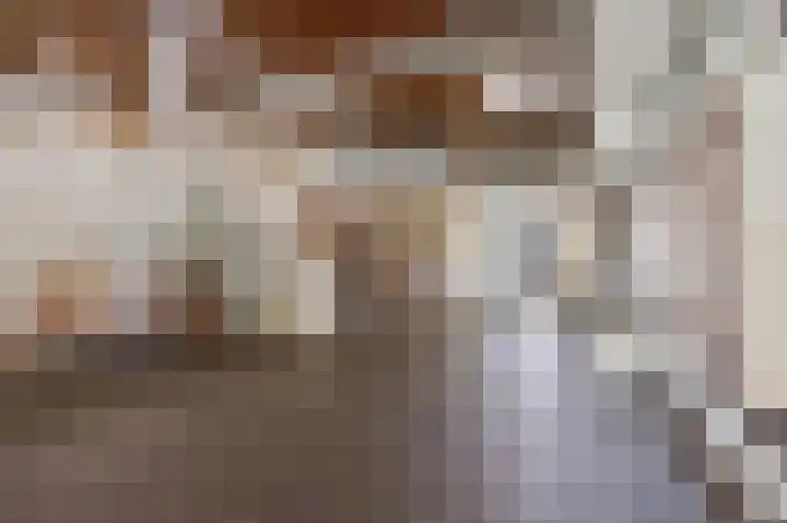 Schapendries 128 Oosterhout thumbnail 22