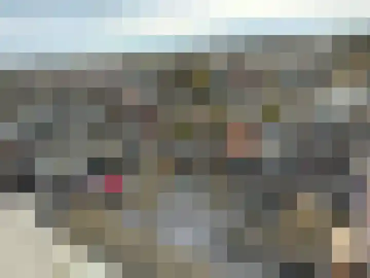 Schapendries 128 Oosterhout thumbnail 25